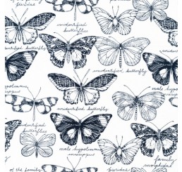 Biology by Sarah Watson - Fauna