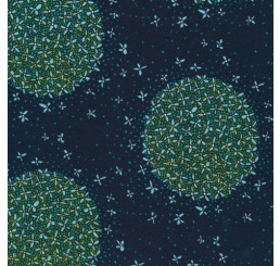 Biology by Sarah Watson - Floral Burst Navy