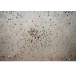 Beaded Foiled Organdy