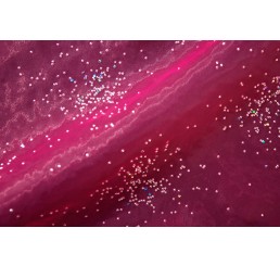 Beaded Foiled Organdy