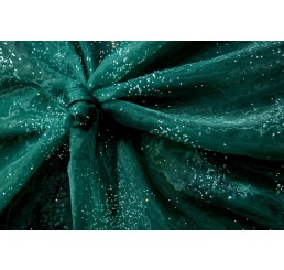 Beaded Foiled Organdy
