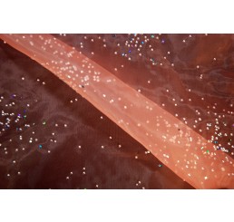 Beaded Foiled Organdy