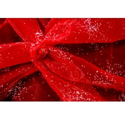 Beaded Foiled Organdy