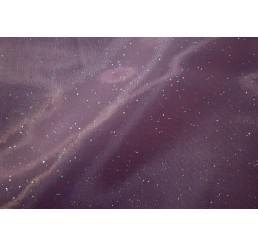 Holograph Glitter Organdy