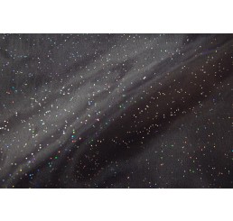 Holograph Glitter Organdy