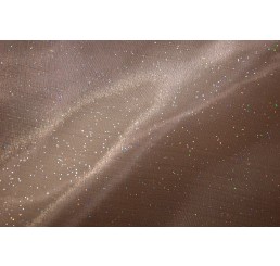 Holograph Glitter Organdy
