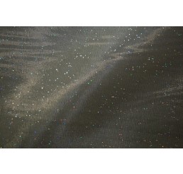 Holograph Glitter Organdy
