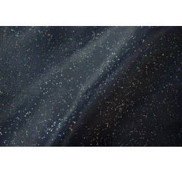 Holograph Glitter Organdy