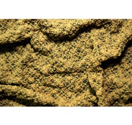Stretch Bubble Knit Lace