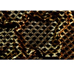 Foiled Stretch Mesh
